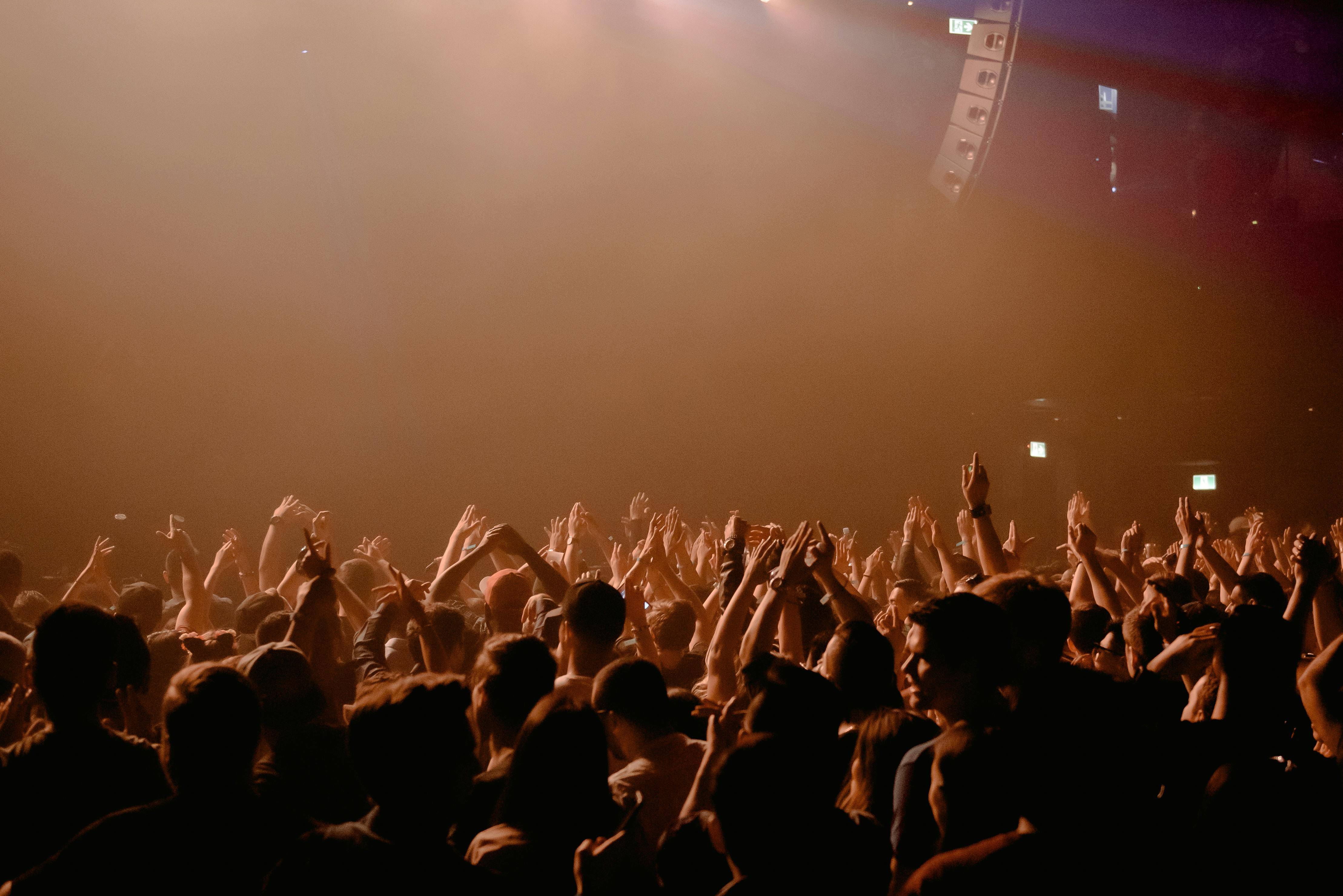 EDM Concert Crowd